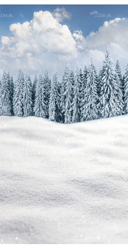 Tło fotograficzne S_92 Boże Narodzenie, niebo, choinki, śnieg, zima